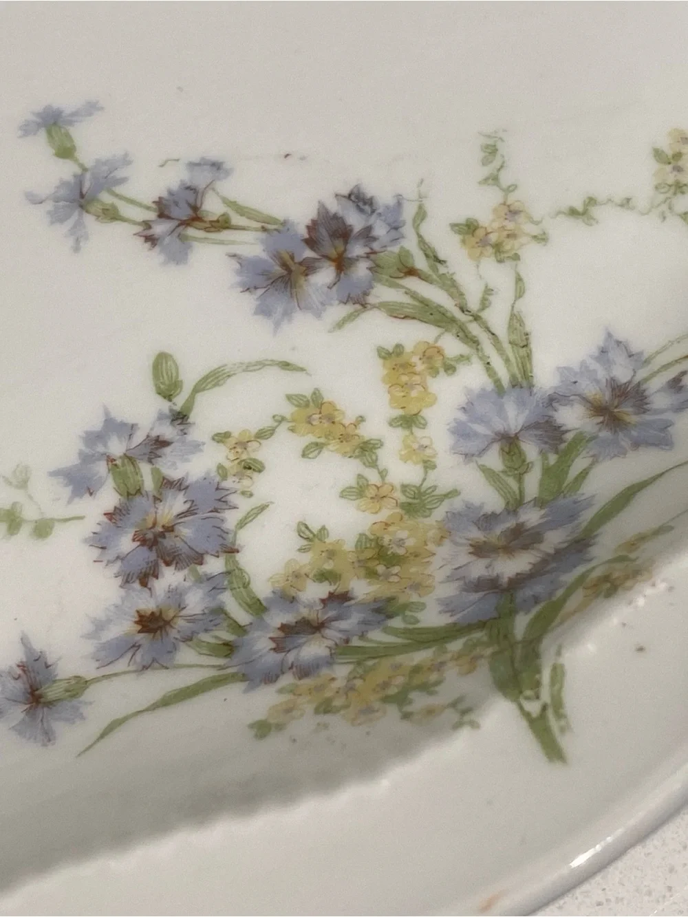 Early 1900s Theodore Haviland Limoges Oval Serving Platter - Blue Floral & Gold